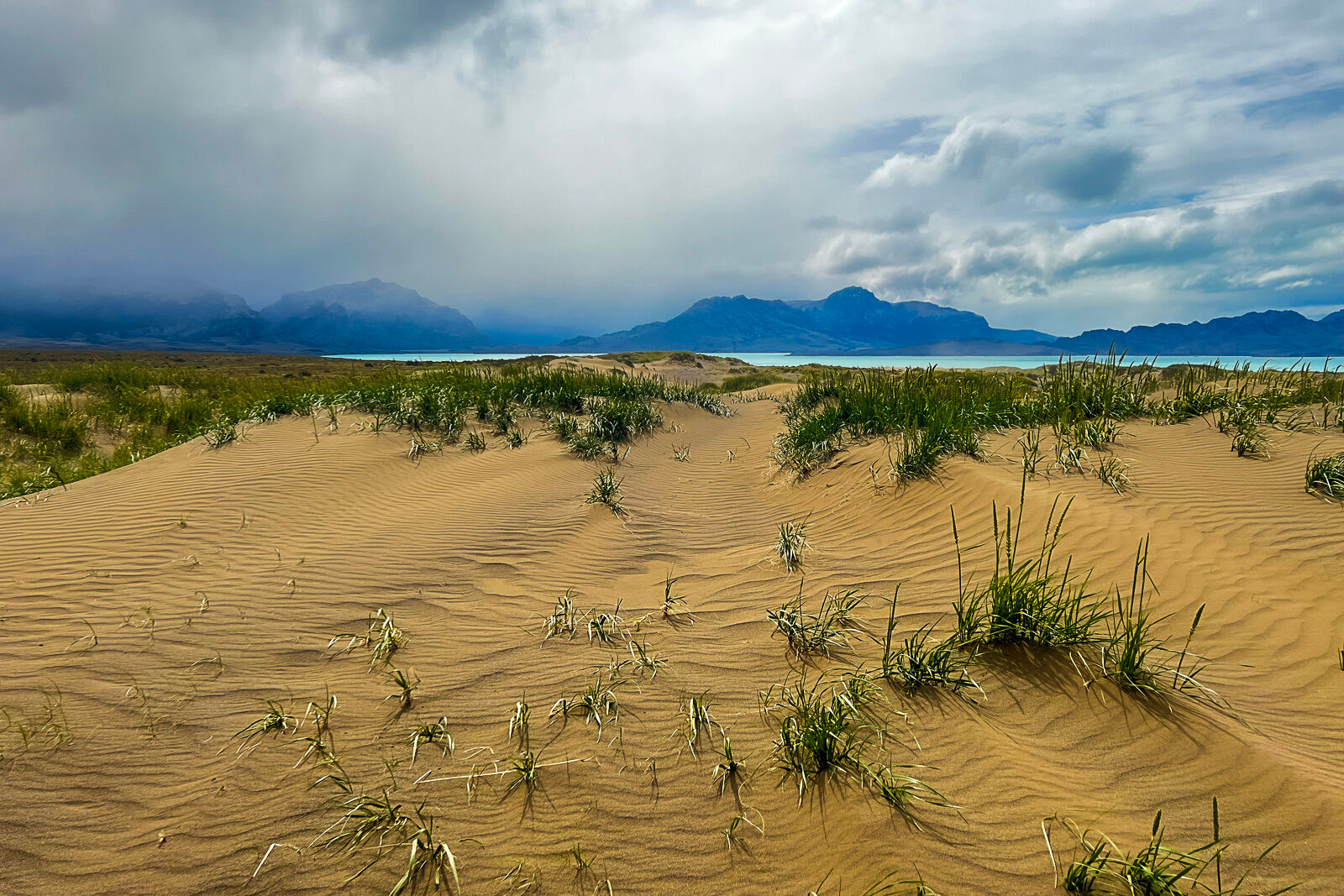 Desert and